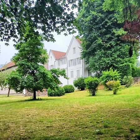 Bed and Breakfast Domaine De La Moselle Сен-Морис-Сюр-Мозель Экстерьер фото